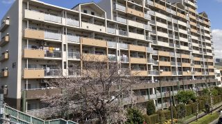 （西国分寺）西国分寺ゆかり2番街1003号室　6,350万円