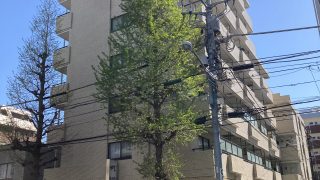 （豊島区）朝日第二目白マンション103号室　4,780万円
